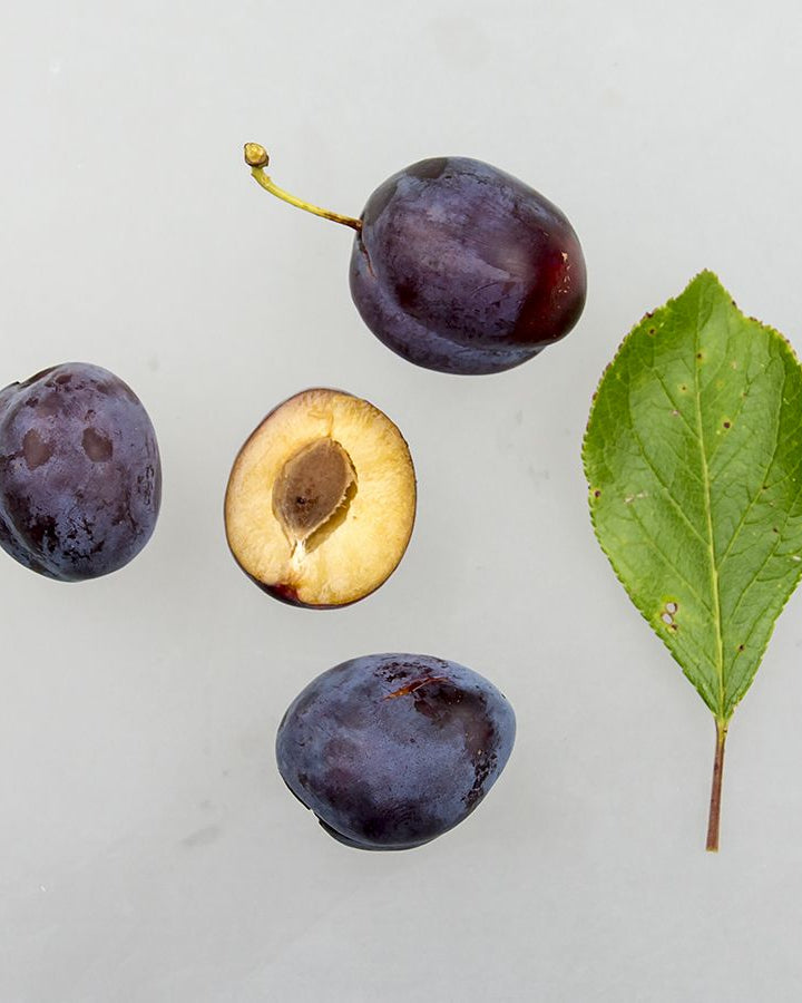 Store, saftige Opal-blommer med deres karakteristiske rødviolette og blålige farvenuancer.