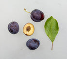 Store, saftige Opal-blommer med deres karakteristiske rødviolette og blålige farvenuancer.